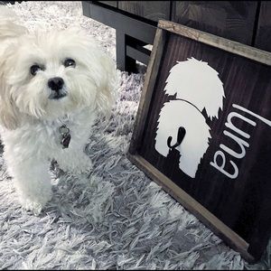 CUSTOM LEASH HOLDER